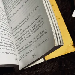 Combo 6c Haruki Murakami 713073