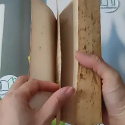 The Rhinemann Exchange - Robert Ludlum 1027201