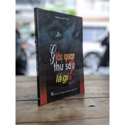 Giác quang thứ sáu là gì? - Hoàng Xuân Việt