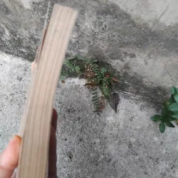 Văn học trung đại Việt Nam dưới góc nhìn văn hóa của GS Trần Nho Thìn  1022805