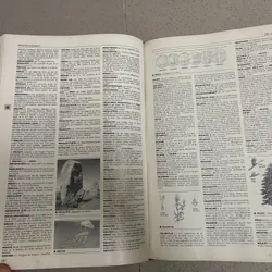 Từ điển Larousse (Pháp)  675184