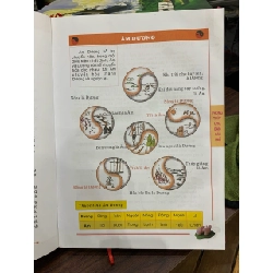 Phong thủy cho bạn gái trẻ tố nữ trạch kinh - Minh Đường 730914