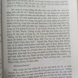 ĐỨC TRINH NỮ MARIA - DỊCH: THIÊN HỰU 726282