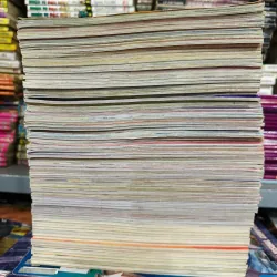 Pokemon Wow bầy thú kỳ diệu full 81 tập 971873