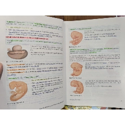 Bài giảng Sản Khoa - Nhiều tác giả 746046