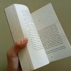 The other passanger, sách ngoại văn tiếng Anh, english book, tiểu thuyết  596204
