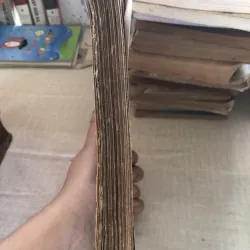 Các vĩ nhân tỉnh lẻ 993527