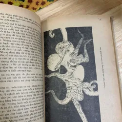 Những Kỳ Lạ Trong Thế Giới Sinh Vật 926223