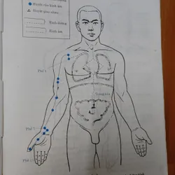 CHÂM CỨU HỌC Trung QUỐC  674270