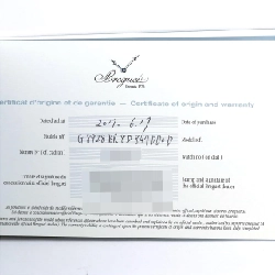 Breguet Queen of Naples RG/D 8928BR/8D/844DD0D PG/RG tự động - Hàng hiệu Chính hãng 876957