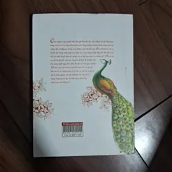 Khổng tước rừng sâu - thái trí hằng 706570