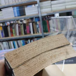 NHỮNG KẺ ĐIÊN RỒ PHẢI CHẾT (TRỌN BỘ 2 TẬP) - MARIO PUZO (PHAN QUANG ĐỊNH DỊCH) 1037835