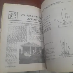 SỔ TAY NỘI TRỢ tập 56 778668