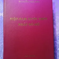 Việt Nam dưới thời Pháp đô hộ - Nguyễn Thế Anh 1046660