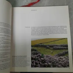 LE PORTUGAL - ALBERT D'HAENENS 1021787