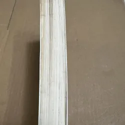 Vết sẹo cánh thiên thần 3 1022901