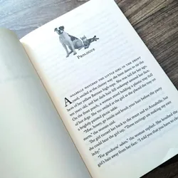 St. Francis Society for Wayward Pets by Annie England Noblin (preloved) 728922