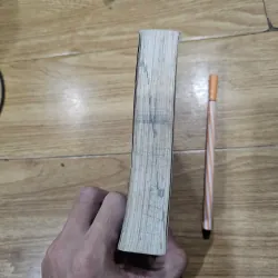 Từ điển Tiếng Việt dành cho học sinh lớp 4
20k 781582