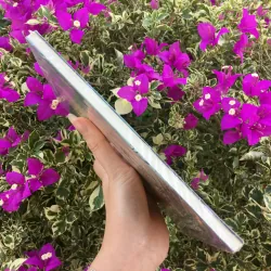 Người sao chổi Cao Việt Quỳnh  754209