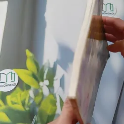 Khám phá bí ẩn thế giới tự nhiên: Khủng long 1018834