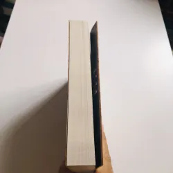 KINH PHÁP CÚ (Dhammapada Sutta) – Thư pháp ·  756597