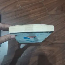 Mình là cá việc của mình là bơi 746474