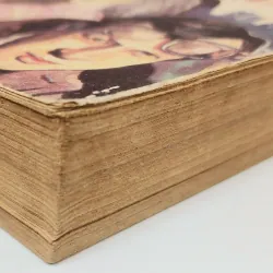 Tiểu thuyết VIÊN CHUYÊN GIA XIXIN (422 trang) 977450