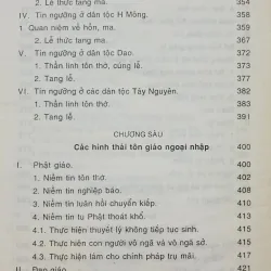 Các hình thái tín ngưỡng tôn giáo ở Việt Nam (Nguyễn Đăng Duy) 790995