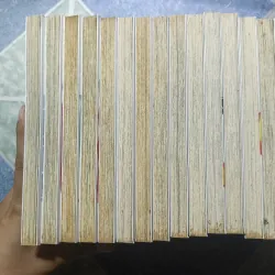 Cuộc phiêu lưu của Croket ( 15 tập) 976074