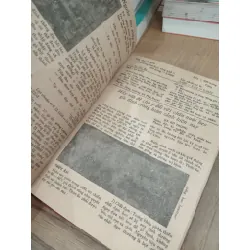 Kỹ thuật nuôi cá trê phi 706078