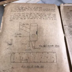 Phương pháp trồng nấm mèo  1004263