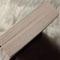 Mario Puzo - The Godfather 957153