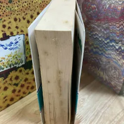 Biển Và Chim Bói Cá - Bùi Ngọc Tấn 1022217