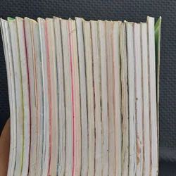 Cừu Vui Vẻ Và Sói Xám ( Set 21 cuốn không trùng) 572891