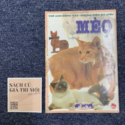 Mèo - Thế giới động vật