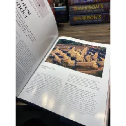 World’s Greatest Wonders 726594