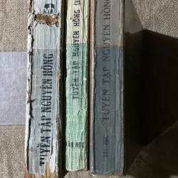 NGUYÊN HỒNG - 3 TẬP, TRỌN BỘ 574555