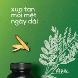 Delta Sleep - Hỗ trợ ngủ ngon 602525