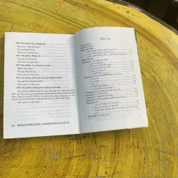 COMBO BONSAI Cây dáng, thế và Non bộ  775779