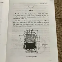 MÁU-TRUYỀN MÁU CÁC BỆNH MÁU THƯỜNG GẶP - CHẨN ĐOÁN VÀ CÁC PHƯƠNG PHÁP ĐIỀU TRỊ - SÁCH Y 571853