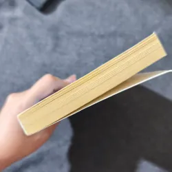 The Thunderbolt Pony - Stacy Gregg 791813