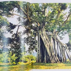 Nét Đẹp Đông Dương 591001