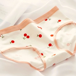 Quần lót cotton họa tiết trái cây trẻ trung xinh, size từ 35 đến 55kg 446076