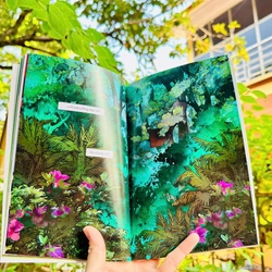 Magic tree house (combo 6 cuốn truyện tranh màu) 360809