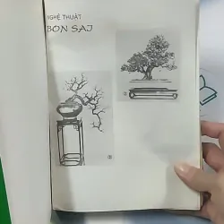 Bonsai: Cây dáng, thế và non bộ - Đỗ Hiệp 694948