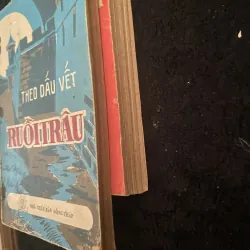 Ruồi Trâu- Theo Dấu Vết Ruồi Trâu  1030148