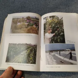 L' ÉCONOMIE DU VIETNAM 1986 - 1995 727118