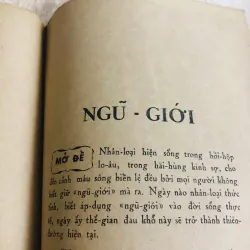 TAM QUY NGŨ GIỚI 993274