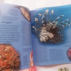 Dangerous Creatures 1002054