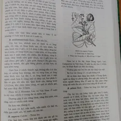 TỪ ĐIỂN THỰC VẬT THÔNG DỤNG TẬP 1 676003